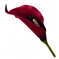 Голова кали латекс штучна, 192 штук RuS_D16_T-230