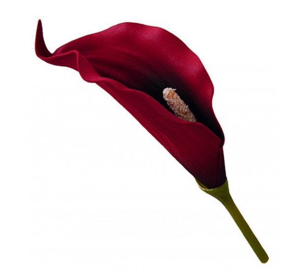 Голова кали латекс штучна, 192 штук RuS_D16_T-230