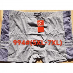 Труси чоловічі INDENA 12 шт (5-7XL) коттон RZ6000_994