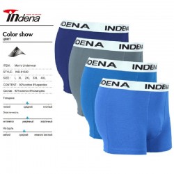 Труси чоловічі INDENA 12 шт (L-4XL) коттон RZ6000_81320