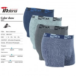 Труси чоловічі INDENA 12 шт (L-4XL) коттон RZ6000_81241