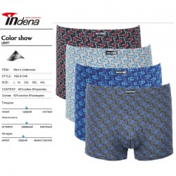 Труси чоловічі INDENA 12 шт (L-4XL) коттон RZ6000_81346