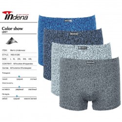Труси чоловічі INDENA 12 шт (L-4XL) коттон RZ6000_81280