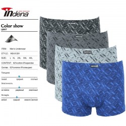 Труси чоловічі INDENA 12 шт (L-4XL) коттон RZ6000_81281