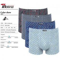 Труси чоловічі INDENA 12 шт (L-4XL) коттон RZ6000_81288