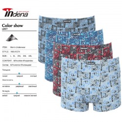 Труси чоловічі INDENA 12 шт (L-4XL) коттон RZ6000_81274
