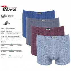 Труси чоловічі INDENA 12 шт (L-4XL) коттон RZ6000_81263