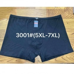 Труси чоловічі VASALL 12 шт (5-7XL) бамбук RZ6000_3001