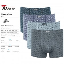Труси чоловічі INDENA 12 шт (L-4XL) коттон RZ6000_81218