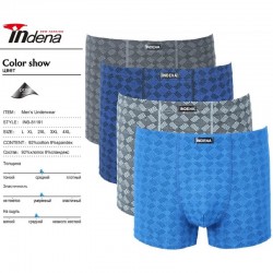 Труси чоловічі INDENA 12 шт (L-4XL) коттон RZ6000_81191