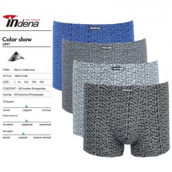 Труси чоловічі INDENA 12 шт (L-4XL) коттон RZ6000_81338