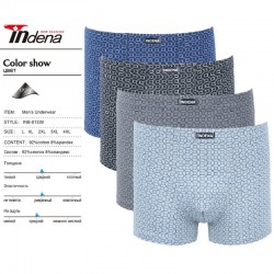 Труси чоловічі INDENA 12 шт (L-4XL) коттон RZ6000_81339