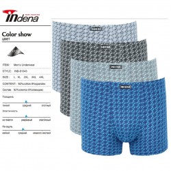 Труси чоловічі INDENA 12 шт (L-4XL) коттон RZ6000_81343
