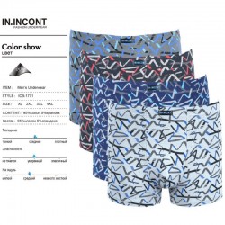 Труси чоловічі IN.INCONT 12 шт (1-4XL) коттон RZ6000_1771