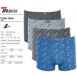 Труси чоловічі INDENA 12 шт (L-4XL) коттон RZ6000_81348