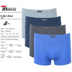 Труси чоловічі INDENA 12 шт (L-4XL) коттон RZ6000_81361