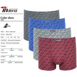 Труси чоловічі INDENA 12 шт (L-4XL) коттон RZ6000_81257