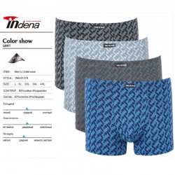 Труси чоловічі INDENA 12 шт (L-4XL) коттон RZ6000_81379