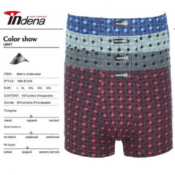 Труси чоловічі INDENA 12 шт (L-4XL) коттон RZ6000_81249