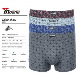 Труси чоловічі INDENA 12 шт (L-4XL) коттон RZ6000_81250