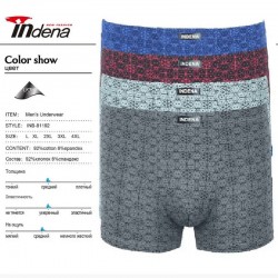 Труси чоловічі INDENA 12 шт (L-4XL) коттон RZ6000_81192