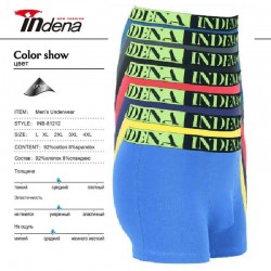 Труси чоловічі INDENA 12 шт (L-4XL) коттон RZ6000_81212