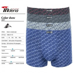 Труси чоловічі INDENA 12 шт (L-4XL) коттон RZ6000_81172