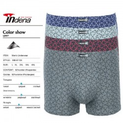 Труси чоловічі INDENA 12 шт (L-4XL) коттон RZ6000_81124