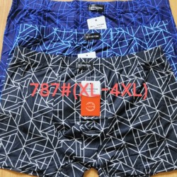 Труси чоловічі CASTOM 12 шт (1-4XL) бамбук RZ6000_787