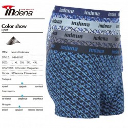 Труси чоловічі INDENA 12 шт (L-4XL) коттон RZ6000_81165