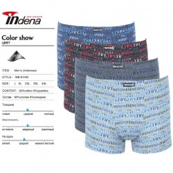 Труси чоловічі INDENA 12 шт (L-4XL) коттон RZ6000_81300