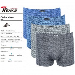 Труси чоловічі INDENA 12 шт (L-4XL) коттон RZ6000_81238