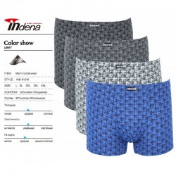 Труси чоловічі INDENA 12 шт (L-4XL) коттон RZ6000_81240