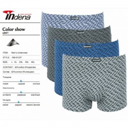 Труси чоловічі INDENA 12 шт (L-4XL) коттон RZ6000_81237