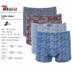 Труси чоловічі INDENA 12 шт (L-4XL) коттон RZ6000_81252