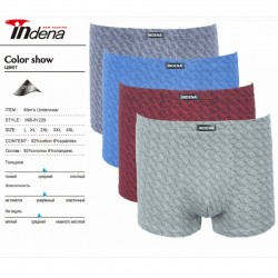 Труси чоловічі INDENA 12 шт (L-4XL) коттон RZ6000_81229