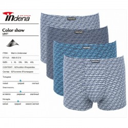 Труси чоловічі INDENA 12 шт (L-4XL) коттон RZ6000_81214