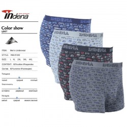 Труси чоловічі INDENA 12 шт (L-4XL) коттон RZ6000_81242