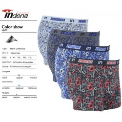 Труси чоловічі INDENA 12 шт (L-4XL) коттон RZ6000_81244