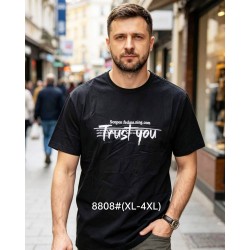 Футболка чоловіча 6 шт (1-4XL) бавовна RZ6000_8808