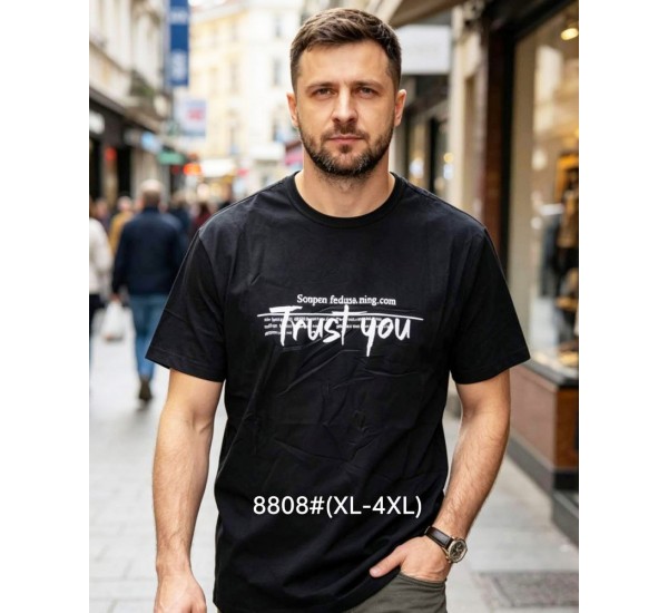 Футболка чоловіча 6 шт (1-4XL) бавовна RZ6000_8808