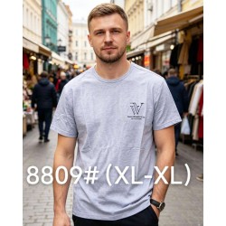 Футболка чоловіча 6 шт (1-4XL) бавовна RZ6000_8809b