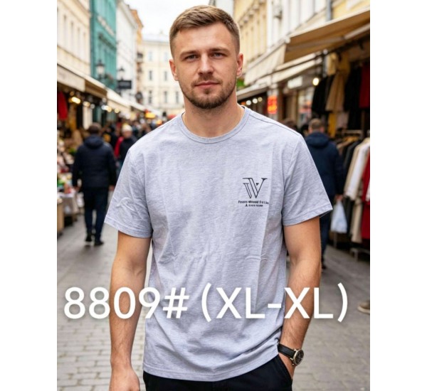Футболка чоловіча 6 шт (1-4XL) бавовна RZ6000_8809b