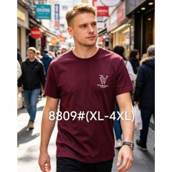 Футболка чоловіча 6 шт (1-4XL) бавовна RZ6000_8809c