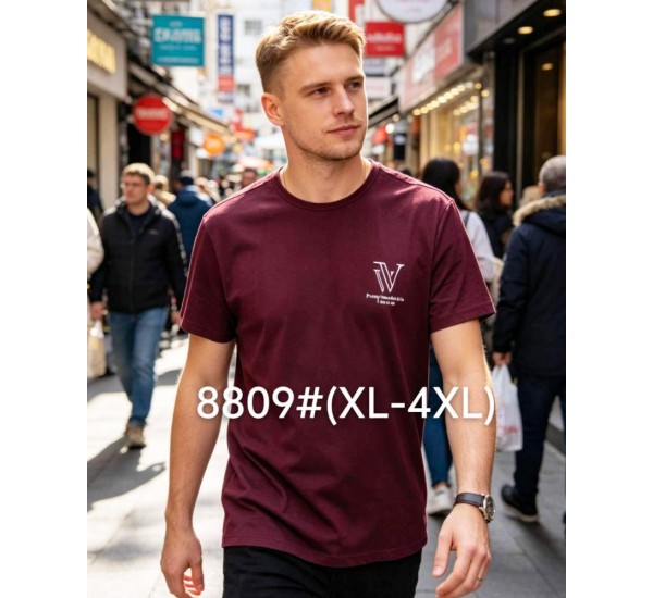 Футболка чоловіча 6 шт (1-4XL) бавовна RZ6000_8809c