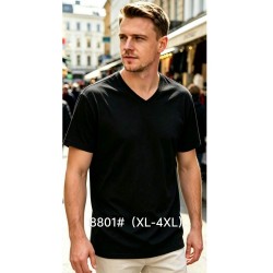 Футболка чоловіча 6 шт (1-4XL) бавовна RZ6000_8801a