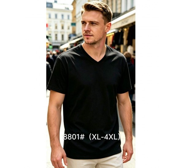Футболка чоловіча 6 шт (1-4XL) бавовна RZ6000_8801a