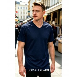 Футболка чоловіча 6 шт (1-4XL) бавовна RZ6000_8801b