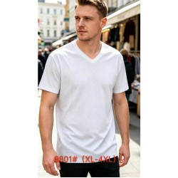 Футболка чоловіча 6 шт (1-4XL) бавовна RZ6000_8801c