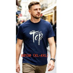 Футболка чоловіча 6 шт (1-4XL) бавовна RZ6000_8813a